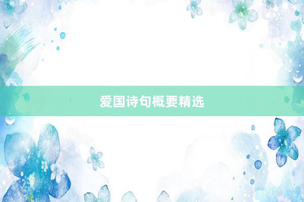 爱国诗句概要精选
